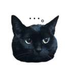 くろねこネネ（個別スタンプ：2）