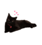 くろねこネネ（個別スタンプ：4）