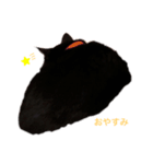 くろねこネネ（個別スタンプ：8）