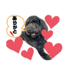 ひじきスタンプ第一弾（個別スタンプ：4）
