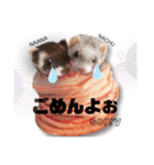 NACHU and NAANA（個別スタンプ：6）