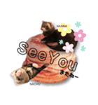 NACHU and NAANA（個別スタンプ：7）