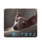 寝ることが仕事です（個別スタンプ：2）
