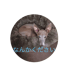 寝ることが仕事です（個別スタンプ：7）