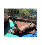寝ることが仕事です（個別スタンプ：8）