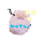 アルビノハリネズミのスタンプ（個別スタンプ：15）