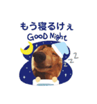 まろりんことナカヨシコヨシ♪（個別スタンプ：10）