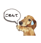まろりんことナカヨシコヨシ♪（個別スタンプ：15）