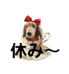 まろりんことナカヨシコヨシ♪（個別スタンプ：22）