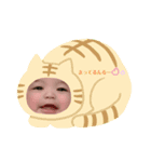 惺たん(/ω＼)（個別スタンプ：4）