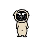 パグ山（個別スタンプ：1）