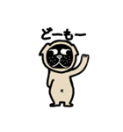 パグ山（個別スタンプ：3）
