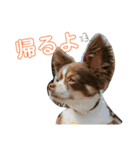 ちぴちゃん②（個別スタンプ：1）