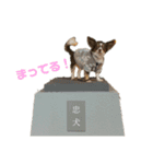 ちぴちゃん②（個別スタンプ：7）