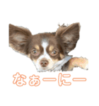 ちぴちゃん②（個別スタンプ：11）