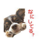 ちぴちゃん②（個別スタンプ：12）