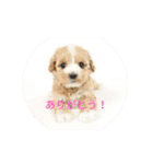わーーーーん（個別スタンプ：2）