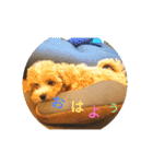 わーーーーん（個別スタンプ：4）