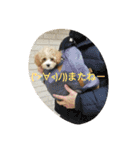 わーーーーん（個別スタンプ：12）