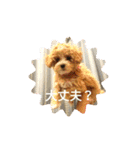 わーーーーん（個別スタンプ：15）