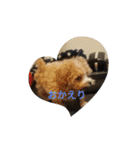 わーーーーん（個別スタンプ：17）