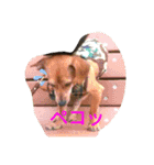 わーーーーん（個別スタンプ：23）
