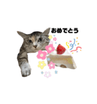ずんだ＆フレンズ♡♡（個別スタンプ：12）