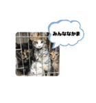 ずんだ＆フレンズ♡♡（個別スタンプ：28）