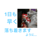 夢ちゃんのお願い（ねこ）（個別スタンプ：6）
