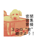 ラテのメッセージ〜コロナウィルス予防編〜（個別スタンプ：7）
