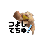 つよしでちゅ！！！（個別スタンプ：1）