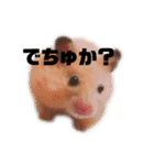 つよしでちゅ！！！（個別スタンプ：2）