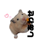 つよしでちゅ！！！（個別スタンプ：6）