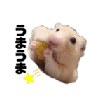 つよしでちゅ！！！（個別スタンプ：8）