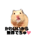 つよしでちゅ！！！（個別スタンプ：11）