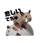 つよしでちゅ！！！（個別スタンプ：14）