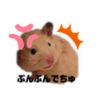 つよしでちゅ！！！（個別スタンプ：15）