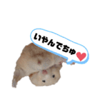 つよしでちゅ！！！（個別スタンプ：16）