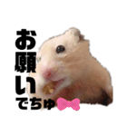 つよしでちゅ！！！（個別スタンプ：17）