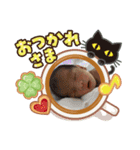 かな＆あお（個別スタンプ：10）