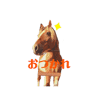 かわいい馬たち（個別スタンプ：4）