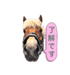 かわいい馬たち（個別スタンプ：9）
