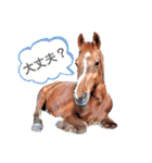 かわいい馬たち（個別スタンプ：19）