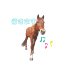 かわいい馬たち（個別スタンプ：22）