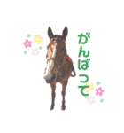 かわいい馬たち（個別スタンプ：26）