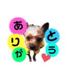 team ta2（個別スタンプ：1）