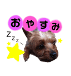 team ta2（個別スタンプ：2）
