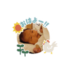 りなちゃんのためのスタンプ（個別スタンプ：1）