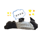 ふぃーゆちゃん2020（個別スタンプ：5）
