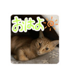 べべちょ❤︎（個別スタンプ：3）